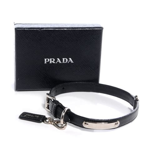 prada pet collar|prada dog collars.